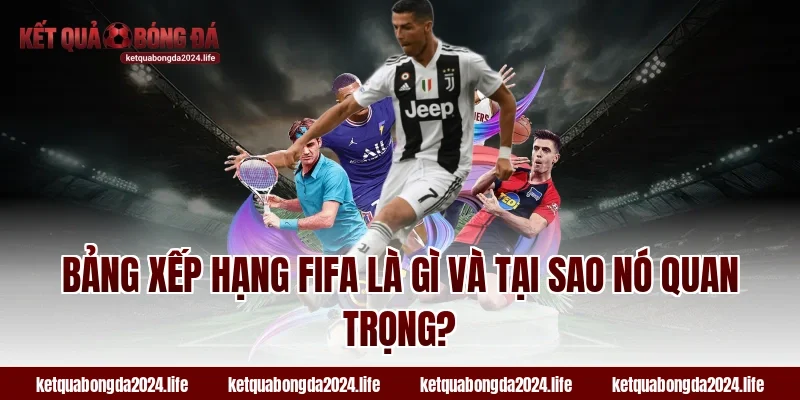 Bảng xếp hạng FIFA là gì và tại sao tỷ lệ kèo quan trọng?