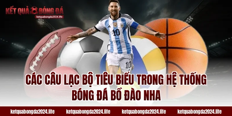 Các câu lạc bộ tiêu biểu trong hệ thống bóng đá Bồ Đào Nha