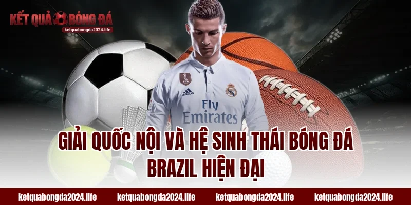 Giải quốc nội và hệ sinh thái bóng đá Brazil hiện đại