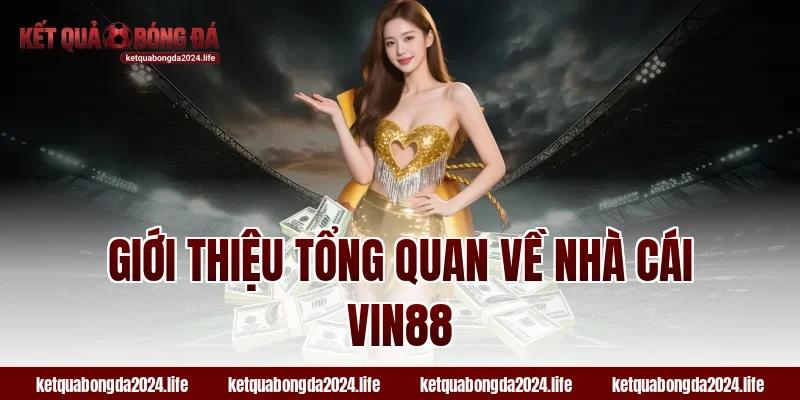Giới thiệu tổng quan về tỷ lệ kèo nhà cái Vin88